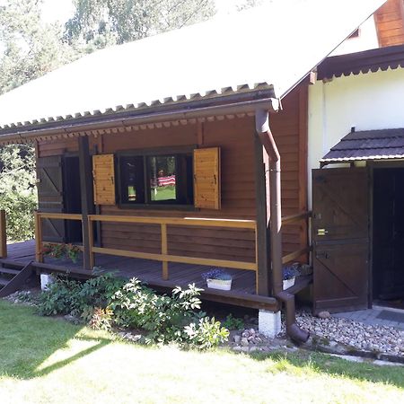 Вилла Lesna Polana Гужно Экстерьер фото