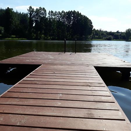 Вилла Lesna Polana Гужно Экстерьер фото