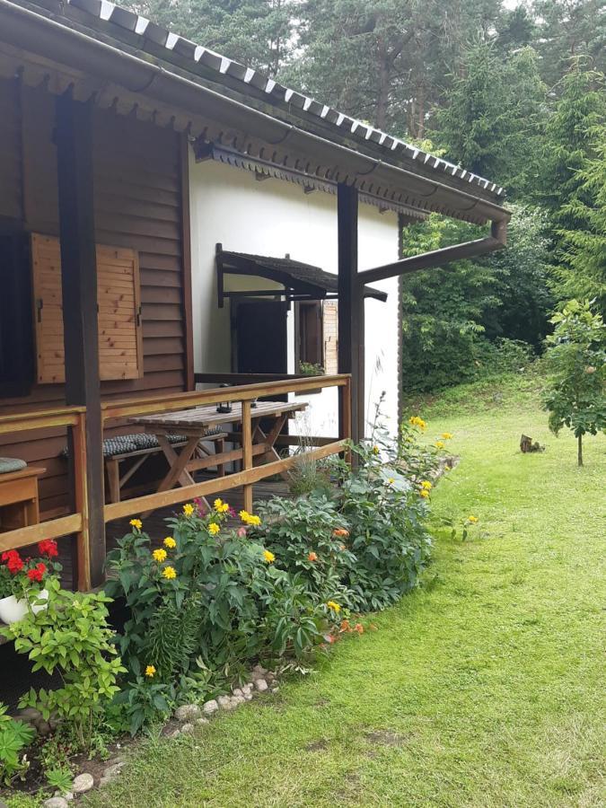 Вилла Lesna Polana Гужно Экстерьер фото